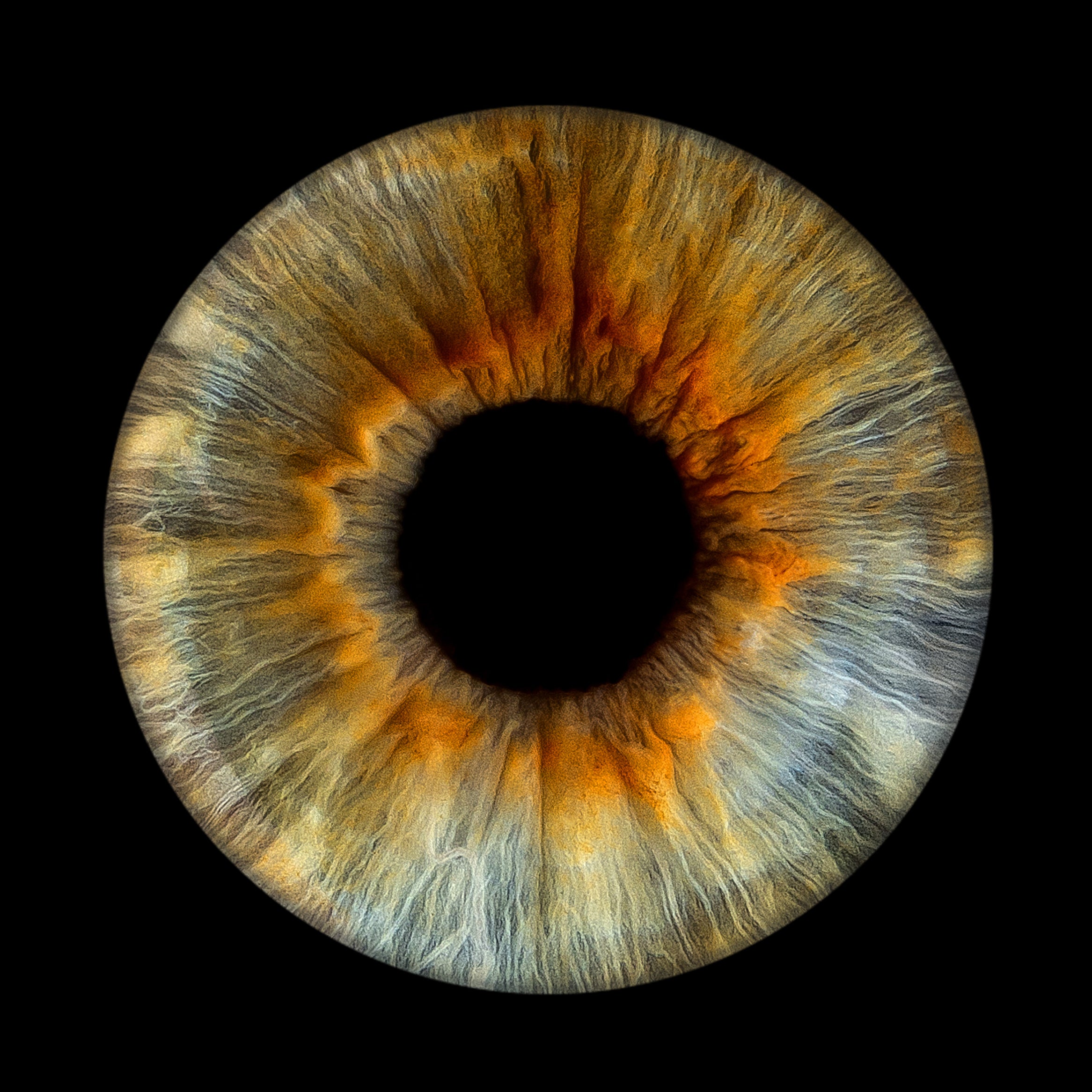 Iris-Shooting inkl. Acrylglas