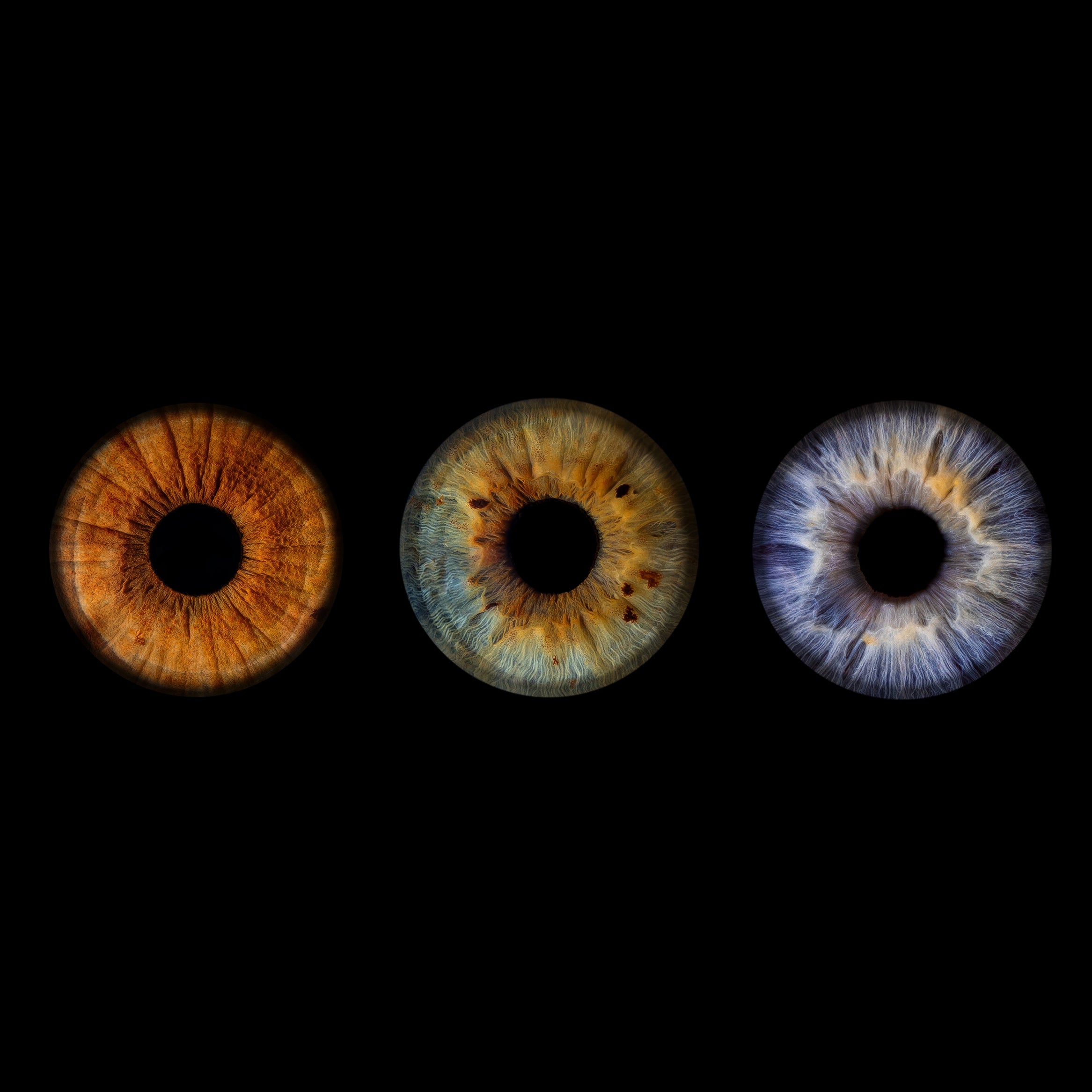 Iris-Shooting inkl. Acrylglas