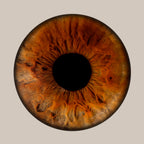 Iris-Shooting inkl. Acrylglas