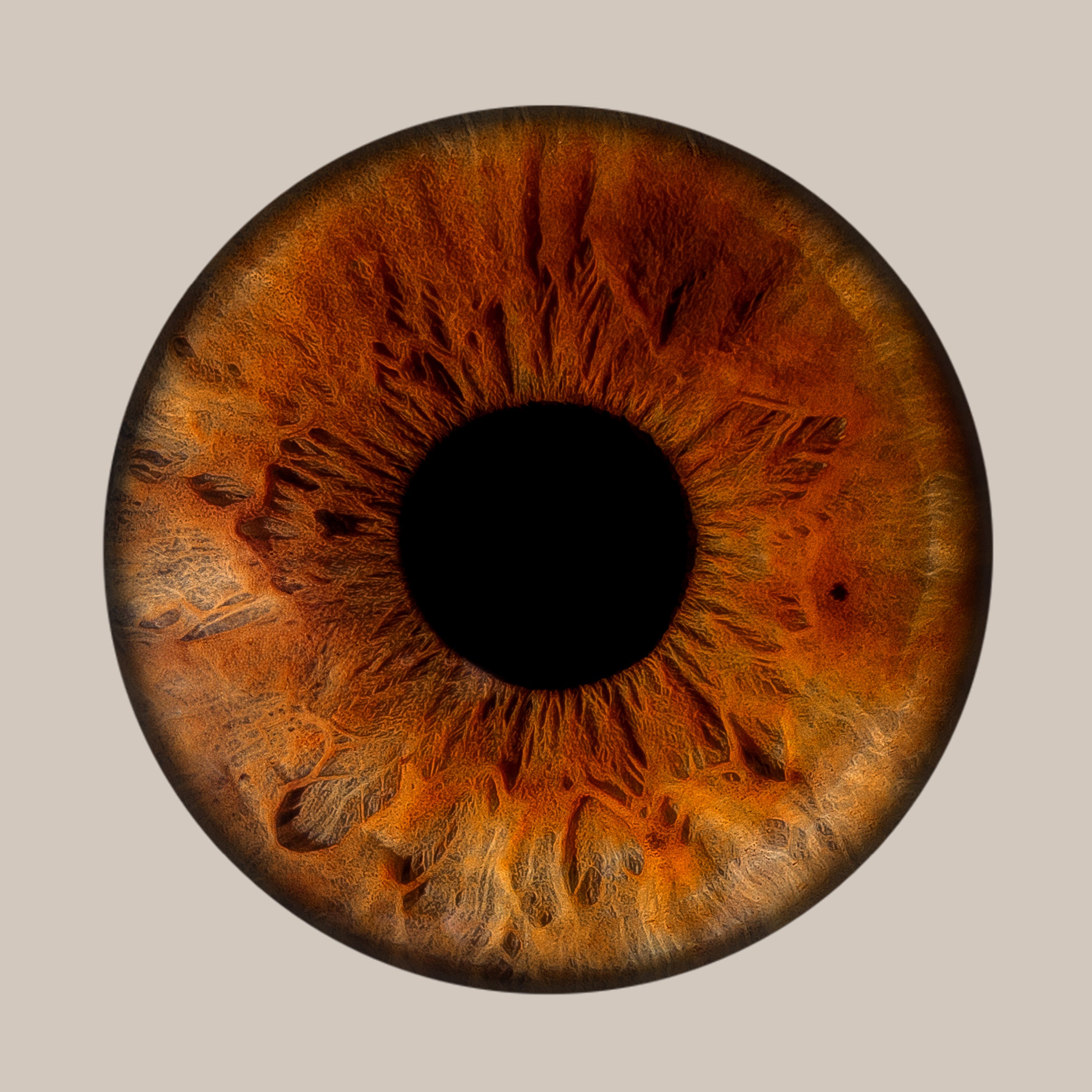 Iris-Shooting inkl. Acrylglas