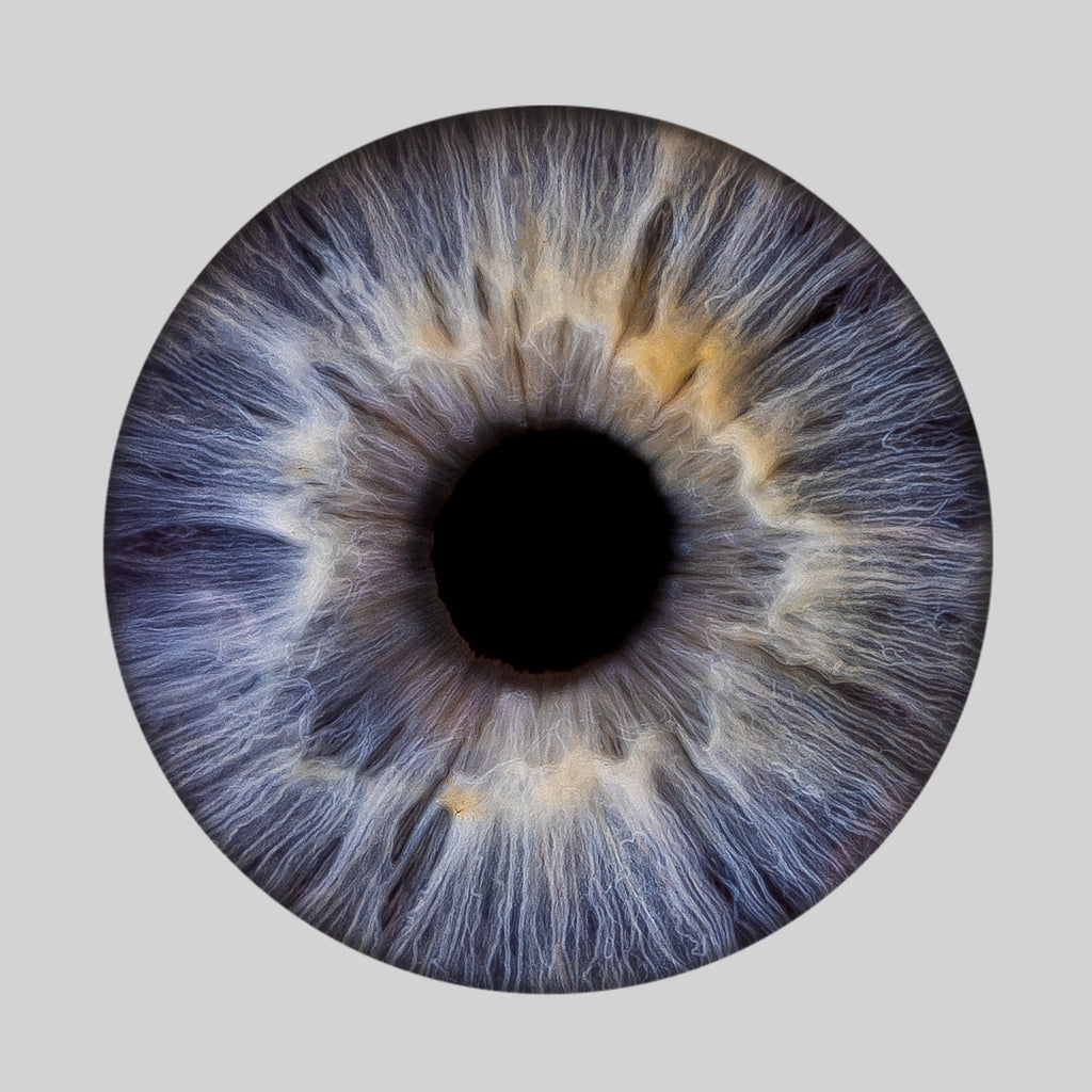 Iris-Shooting inkl. Acrylglas