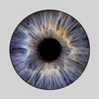 Iris-Shooting inkl. Acrylglas