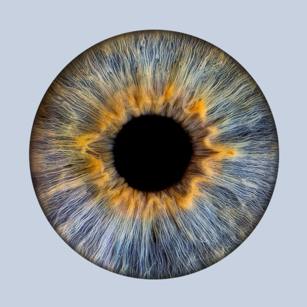 Iris-Shooting inkl. Acrylglas