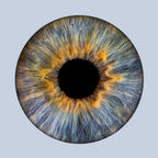 Iris-Shooting inkl. Acrylglas