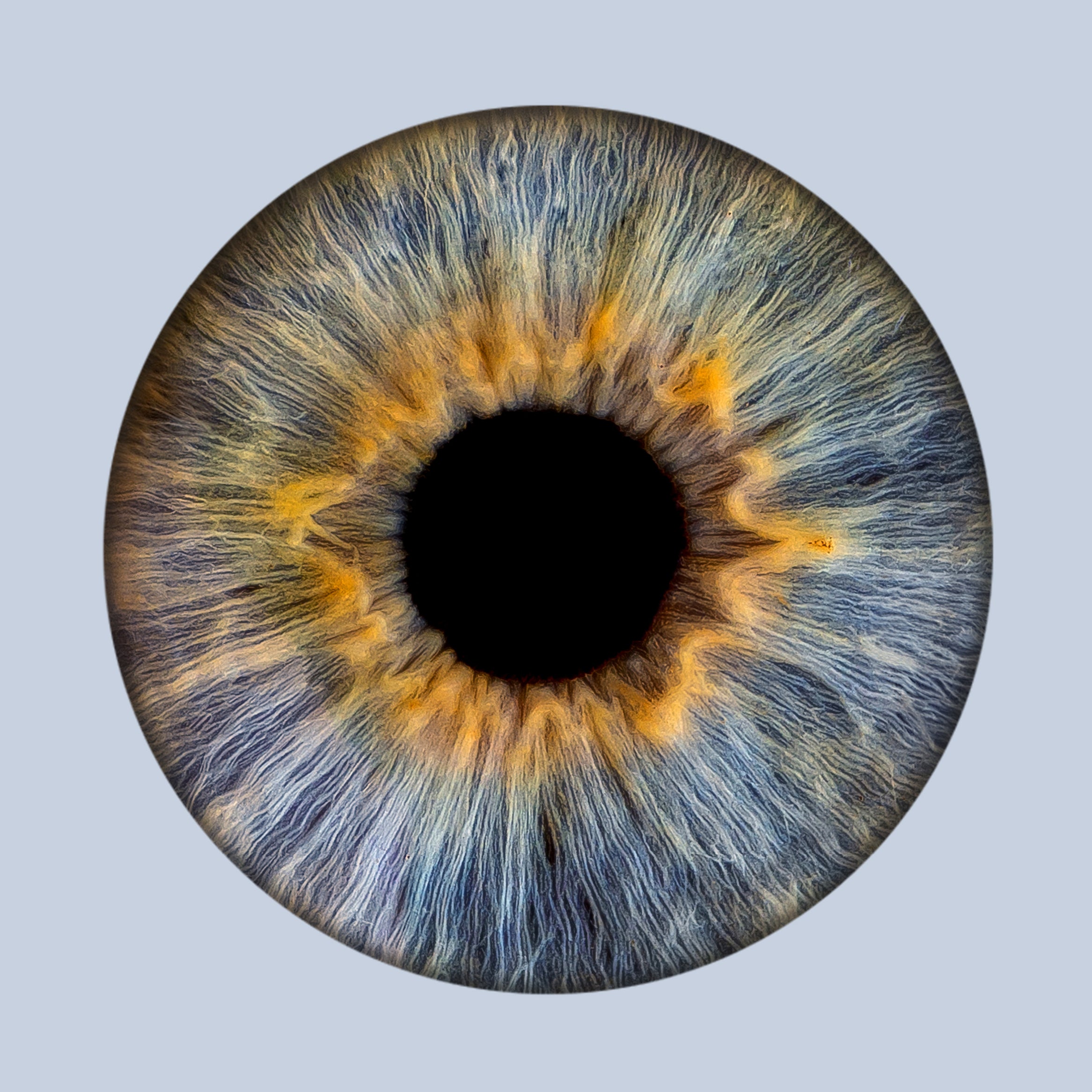 Iris-Shooting inkl. Acrylglas