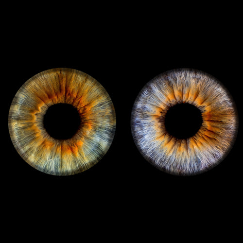 Iris-Shooting inkl. Acrylglas