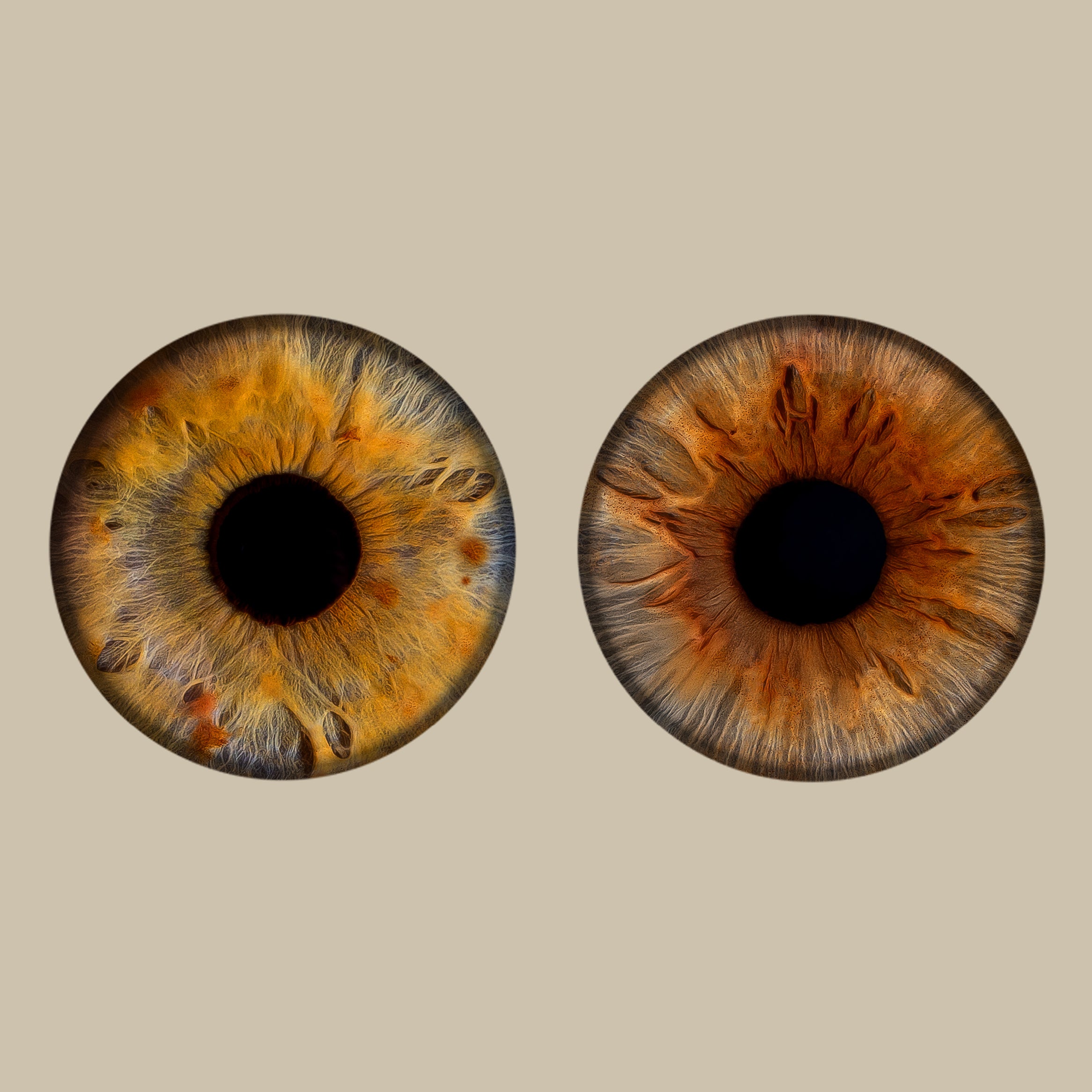 Iris-Shooting inkl. Acrylglas