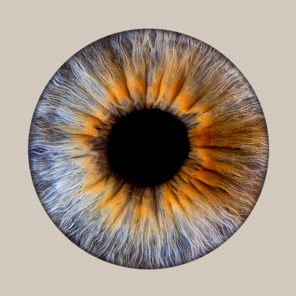 Iris-Shooting inkl. Acrylglas