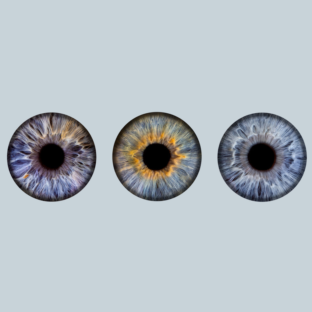 Iris-Shooting inkl. Acrylglas