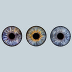 Iris-Shooting inkl. Acrylglas