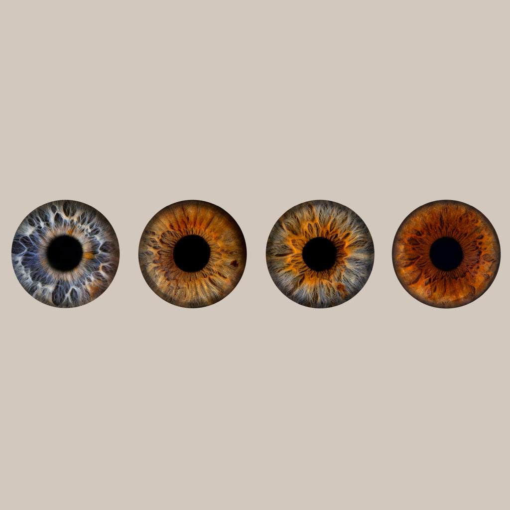 Iris-Shooting inkl. Acrylglas