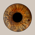 Iris-Shooting inkl. Acrylglas