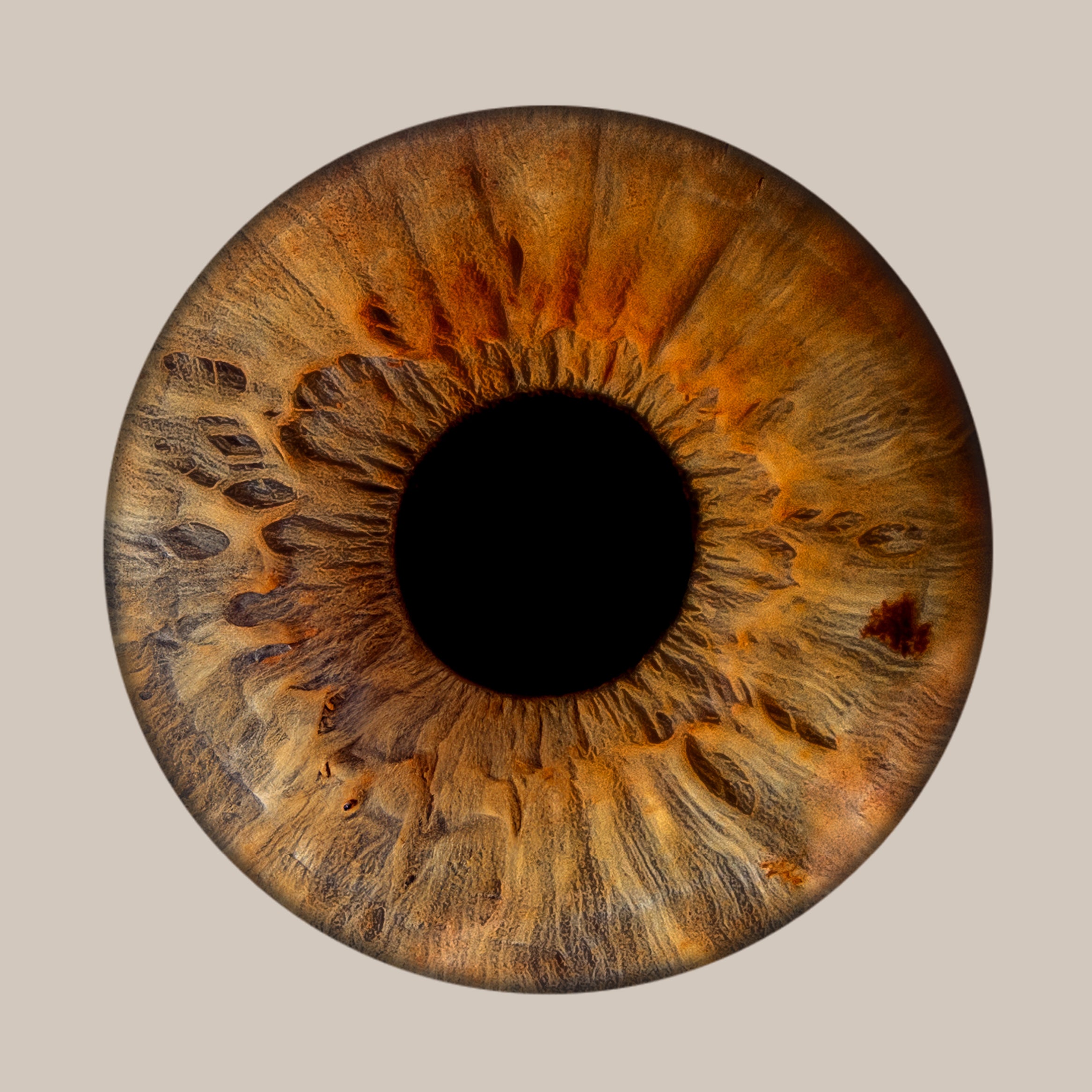 Iris-Shooting inkl. Acrylglas