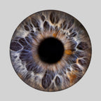 Iris-Shooting inkl. Acrylglas