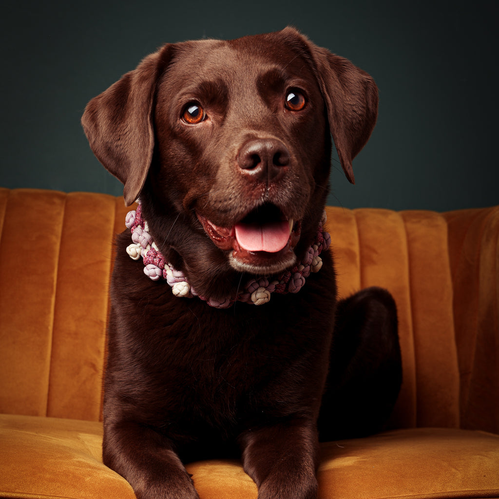 Fotoshooting inkl. Leinwand